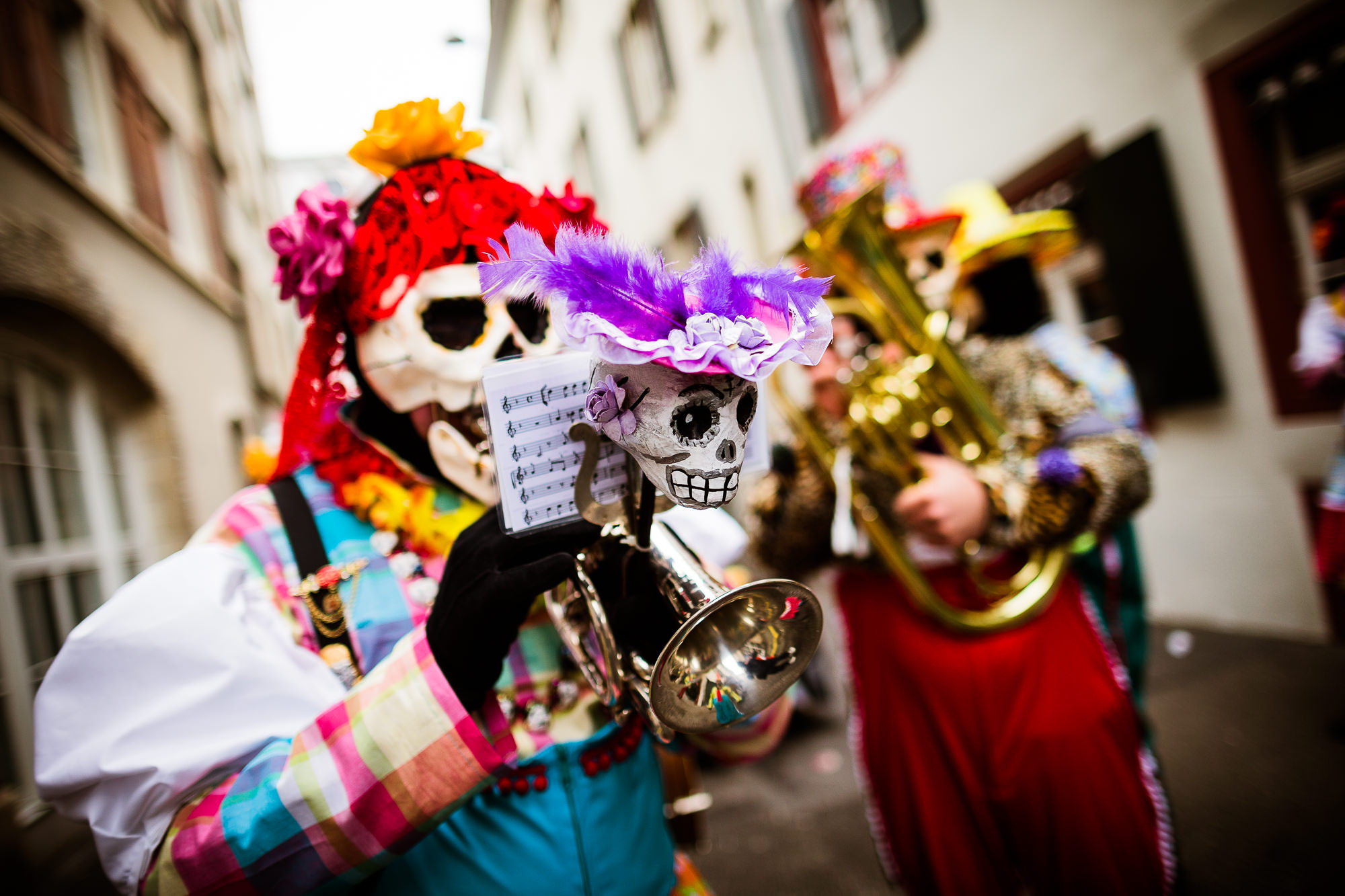 Export x3 1DX 6952 Basler Fasnacht 2016